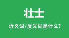 壮士的近义词和反义词是什么_壮士是什么意思?