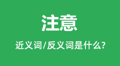 注意的近义词和反义词是什么_注意是什么意思?