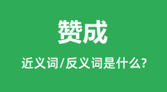 赞成的近义词和反义词是什么_赞成是什么意思?
