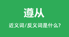 遵从的近义词和反义词是什么_遵从是什么意思?