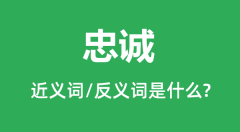 忠诚的近义词和反义词是什么_忠诚是什么意思?