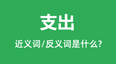 支出的近义词和反义词是什么,支出是什么意思?