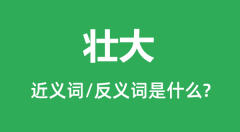 壮大的近义词和反义词是什么_壮大是什么意思?