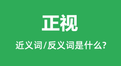 正视的近义词和反义词是什么_正视是什么意思?