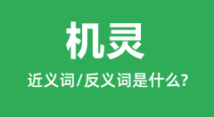 机灵的近义词和反义词是什么_机灵是什么意思？