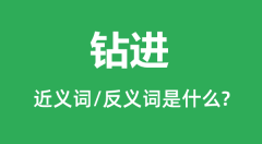 钻进的近义词和反义词是什么_钻进是什么意思？