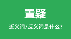 置疑的近义词和反义词是什么_置疑是什么意思?