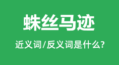 蛛丝马迹的近义词和反义词是什么_蛛丝马迹是什么意思？
