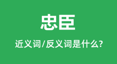 忠臣的近义词和反义词是什么_忠臣是什么意思？