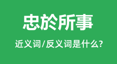 忠於所事的近义词和反义词是什么_忠於所事是什么意思？