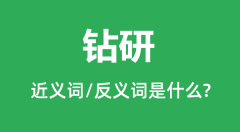<b>钻研的近义词和反义词是什么_钻研是什么意思?</b>