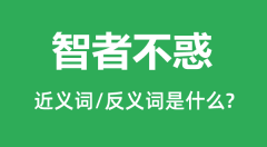 智者不惑的近义词和反义词是什么_智者不惑是什么意思?