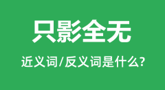只影全无的近义词和反义词是什么_只影全无是什么意思？