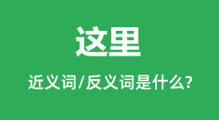 这里的近义词和反义词是什么_这里是什么意思?