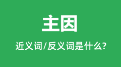 主因的近义词和反义词是什么_主因是什么意思?
