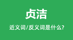 贞洁的近义词和反义词是什么_贞洁是什么意思?