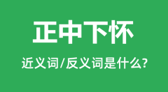 正中下怀的近义词和反义词是什么_正中下怀是什么意思?