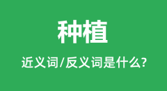 种植的近义词和反义词是什么_种植是什么意思?