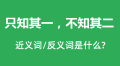 只知其一，不知其二的近义词和反义词是什么_只知其一，不知其二是什么意思