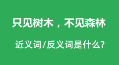 只见树木，不见森林的近义词和反义词是什么_只见树木，不见森林是什么意思