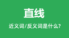 直线的近义词和反义词是什么_直线是什么意思?