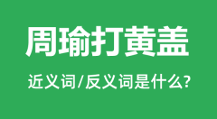 周瑜打黄盖的近义词和反义词是什么_周瑜打黄盖是什么意思？