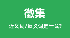 徵集的近义词和反义词是什么_徵集是什么意思?