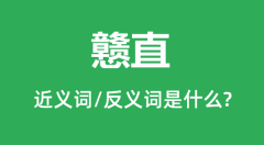 戆直的近义词和反义词是什么_戆直是什么意思?