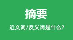 摘要的近义词和反义词是什么_摘要是什么意思?