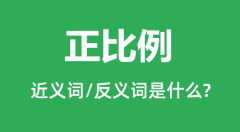 正比例的近义词和反义词是什么_正比例是什么意思?