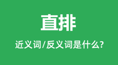 直排的近义词和反义词是什么_直排是什么意思?