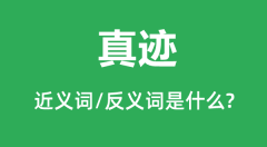 <b>真迹的近义词和反义词是什么_真迹是什么意思?</b>
