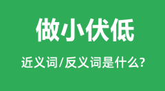 做小伏低的近义词和反义词是什么_做小伏低是什么意思?