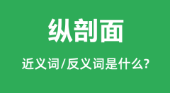 纵剖面的近义词和反义词是什么_纵剖面是什么意思?