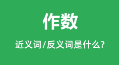 作数的近义词和反义词是什么_作数是什么意思?