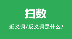 扫数的近义词和反义词是什么_扫数是什么意思?