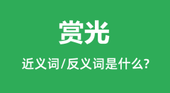 赏光的近义词和反义词是什么_赏光是什么意思?