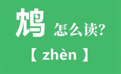 鸩怎么读拼音是什么_饮鸩止渴是什么意思