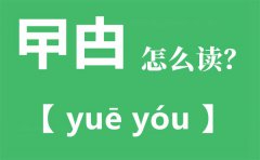 曱甴怎么读拼音是什么_曱甴是什么意思