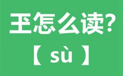 玊怎么读_玊念什么_玊字的拼音_玊字是什么意思