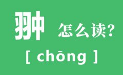 翀怎么读_翀的读音_孛术鲁翀原文及翻译