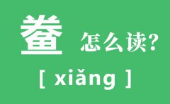 鲞怎么读_鲞的读音_黄鱼鲞的做法大全