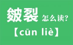 皴裂怎么读_皴裂的拼音_皴裂是什么意思