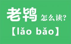 老鸨怎么读_老鸨的拼音_老鸨是什么意思