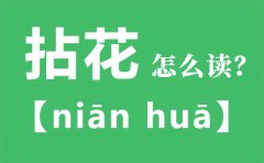 拈花怎么读_拈花的拼音_拈花是什么意思