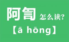 阿訇怎么读_阿訇的拼音_阿訇是什么意思