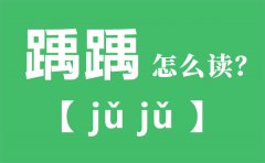 踽踽怎么读_踽踽的拼音_踽踽是什么意思