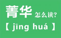 菁华怎么读_菁华的拼音_菁华是什么意思