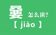嘦怎么读_只要念什么字_嘦字的拼音_嘦字是什么意思