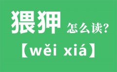 猥狎怎么读_猥狎念什么_猥狎的拼音_猥狎是什么意思